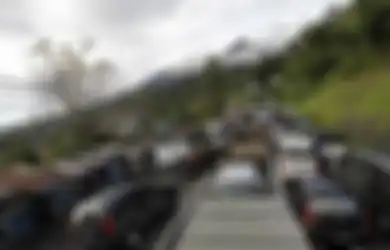 Upaya Pemerintah Bikin Kawasan Puncak Hijau Lagi dalam 3 Tahun