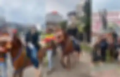 Diberlakukan Bak Putri Kerajaan, Mahasiswi Ini Diarak Keliling Naik Kuda oleh Teman-temannya Usai Sidang Skripsi: Diantar Sampai ke Kost