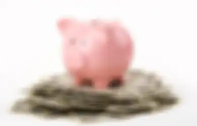 Apes! 5 Tahun Hidup Prihatin Demi Menabung, Uang Jutaan Rupiah di Celengan Gadis Ini Justru Raib Dimakan Rayap