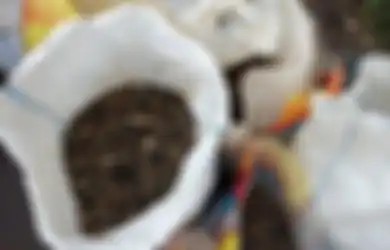 Pantas Saja Diburu dan Jadi Rebutan Ratusan Warga, Batu di Lahan Makam Ini Rupanya Tak Sembarangan, Bisa Dijual Rp 20 Ribu Per Kilo