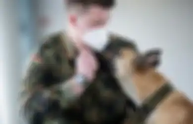 Jerman Gunakan Anjing Pelacak untuk Deteksi Covid-19 dengan Akurasi Hingga Angka 94