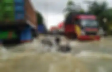 Peringatan! 5 Provinsi di Jawa Ini Dinyatakan Siaga Banjir, BMKG: Masyarakat Diminta untuk Tanggap