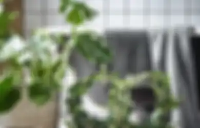 Bikin Asri, 5 Ruang Ini Paling Pas Dihiasi Tanaman, Cek Inspirasinya!