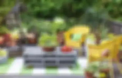 Cara Bersihkan Lumut di Bebatuan Taman dan Bikin Tak Tumbuh Lagi