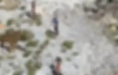 Coast Guard Amerika Temukan Bendera Asing Berkibar di Perairan Mereka, Rupanya Setelah Didekati Temukan Fakta Mengerikan, 'Kami Hanya Makan Kelapa dan Tikus!'