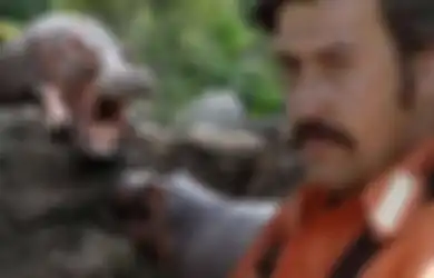 Semasa Hidup Punya Kebun Binatang Ilegal Pribadi dengan 700 Pekerja, Kini Populasi Warisan Pablo Escobar yang Satu Bisa Melonjak Jadi 1.500 Ekor