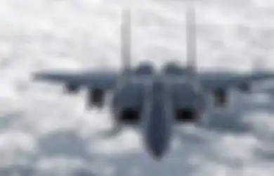 TNI AU Borong Jet Tempur Canggih Buatan Boeing, Pimpinan Komisi I DPR Kaget Saat Tahu Jumlah Helikopter yang Boleh Terbang 