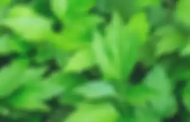Bikin Wajah Makin Glowing, Kepoin Manfaat Mugwort Buat Kecantikan!