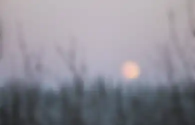 Bulan Syaban Jadi Momen Istimewa, Inilah Asal Usul yang Belum Banyak Diketahui