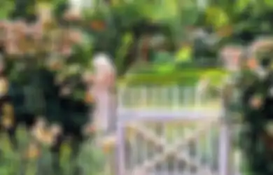 Ini Pilihan Tanaman untuk Pagar Hidup , Bisa Jadi Obat Aneka Penyakit