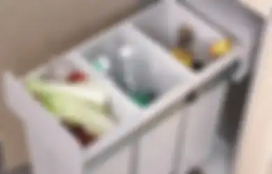 Gunakan Bahan Alami untuk Hilangkan Bau Tempat Sampah di Rumah