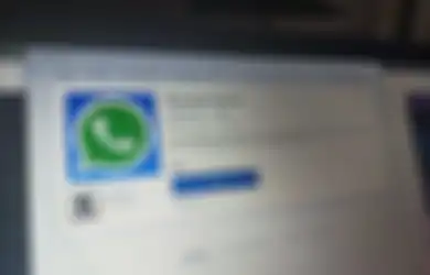 WhatsApp Luncurkan Fitur Panggilan Video di Aplikasi Versi Dekstop