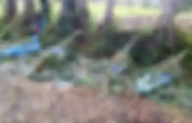 Betapa Primitifnya Negara Tetangga Indonesia Ini, Saat Perang Suku Sampai Pembantaian Massal jadi Cara Penyelesaian Masalah di Era Kehidupan Modern