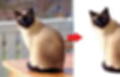 Cara Mudah Hapus Background Foto Tanpa Aplikasi di HP Samsung