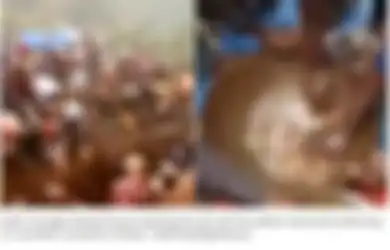 Gunung Emas Itu Nyata, Warga di Desa Ini Berebut Mengais-ngais Emas Langsung dari Tanah, Jumlahnya Bisa Bikin Kaya Mendadak, Pemerintah Pun Ikut 'Rebutan'