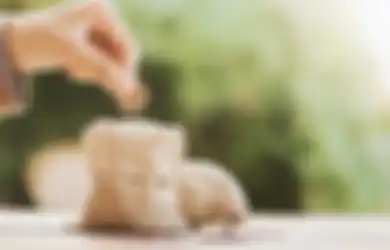 Sulit Ngatur Keuangan? Ikuti 4 Langkah 'Kakeibo' Seni Menabung Ala Jepang Ini