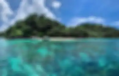 Dengan Simpanan Harta Menggiurkan dan Lokasi Paling Strategis di Dunia, Pulau di Indonesia Ini Sangat Diincar Elon Musk dan Rusia, Meski Warganya Tak Sudi Meski Dibayar Berapapun