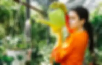 Pantas Saja Tanaman di Rumah Masih Digerogoti Serangga, Coba Siapkan Bumbu Dapur Satu Ini, Hasilnya Bikin Tercengang!