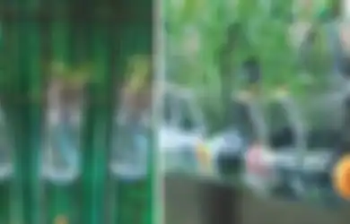 Berkebun Tanpa Limbah dengan Manfaatkan Barang Bekas, Ini Inspirasinya