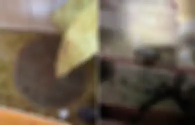 Temukan Lubang Usai Memindahkan Furnitur, Wanita Ini Shok Sekaligus Takut Setengah Mati Pas Tau Fungsi Ruang Rahasia Tersebut, Jadi Bukti Perang Dunia