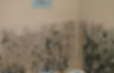 Coba Sekarang Juga! Jamur di Dinding Rumah Bakal Enyah Jika Gunakan Cara Berikut Ini, Alat dan Bahan Dijamin Mudah Dicari