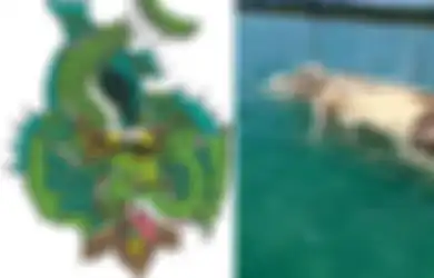 Jadi Simbol Kekuatan Mahadahsyat Raja Lautan, 'Bangkai' Gajah Mina Tiba-tiba Menyeruak di Laut Natuna, LIPI Beri Penjelasan