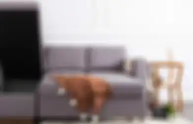 Sofa Bed Satukan Fungsi Sofa dan Tempat Tidur, Ada 4 Tipe, Jangan Salah Pilih!