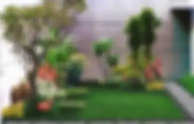 Dana Cupet Bisa Bikin Taman, Ini Daftar Tanaman Harga Terjangkau