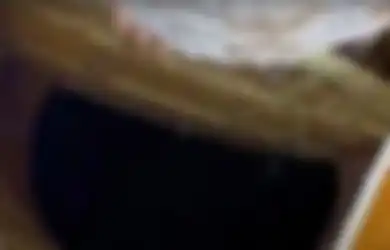 Tak Pernah Terungkap Sebelumnya, Perempuan Ini Temukan Lubang Misterius di Bawah Kamar Tidurnya yang Ternyata Menuju ke Sebuah Tempat Persembunyian Rahasia