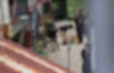Khas Digunakan untuk Perang Irak Inilah Bom 'Mother of Satan' yang Ternyata Juga Digunakan di Pemboman Makassar hingga Surabaya, Ternyata Ini Alasan Bom Ini Jadi Favorit Teroris