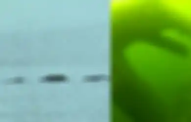Opogopo yang Mendiami Danau di Kanada Konon Lebih Terbukti Nyata dari Monster Loch Ness, Ratusan Tahun Lalu Bahkan Orang Indian Selalu Siapkan Tumbal Agar Selamat 