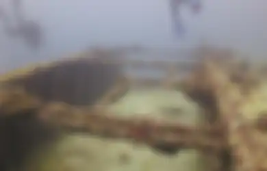 Bangkai Kapal Tanker Sisa Perang Dunia II Ini Ditemukan di Lepas Pantai Hawaii Jadi Rumah Bagi Banyak Spesies Tumbuhan dan Hewan