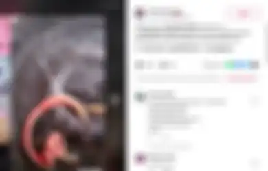 Viral Video Hewan Mirip Cacing Keluarin Cairan Berbentuk Akar, Berbahaya atau Tidak? Begini Kata Peneliti Lipi
