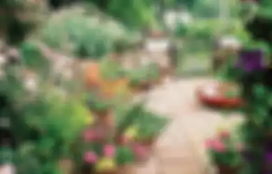 Menata Taman dengan Kaidah Feng Shui, Perhatikan 6 Unsur Ini!