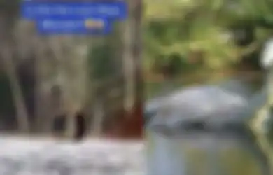 Penampakan Monster Loch Ness Tertangkap Google Earth, Ada Juga yang Melihatnya Langsung dan Berkata: 'Tidak Ada Leher Panjang, Tidak Ada Kepala, Hanya Punuk'