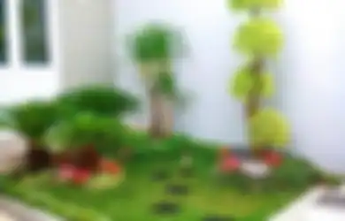 Taman Mungil Tampil Menawan, Pakai Jurus Ini untuk Mewujudkan
