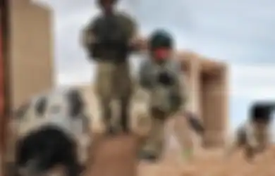 ‘Dia Adalah Salah Satu dari Kita’ Kisah Theo, Anjing Pelacak Senjata dan Bahan Peledak dalam Operasi Pemberontak di Afghanistan, Mati Tak Lama Setelah Pawangnya Tewas Karena Ulah Sniper