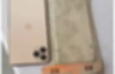 Ajaib, iPhone 11 Pro Max Masih Bisa Nyala Setelah Tenggelam 1 Tahun!
