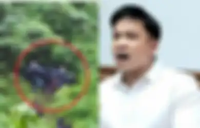 Pulang Berburu Hantu, Mobil Tim Jordi Onsu Kecelakaan Sampai Terjun ke Jurang Sedalam 60 M, Polisi Ungkap Kronologi Lengkap dan Penyebabnya