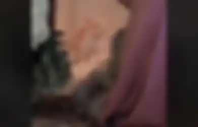 Nggak Ada Akhlak! Kucing Ini Boker saat Majikannya Sedang Lamaran