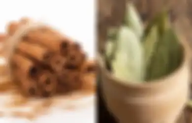 Nggak Bakal Bolak Balik Sakit, Hanya Rutin Minum Air Rebusan Daun Salam dan Kayu Manis Khasiat Luar Biasa ini Bakal Dirasakan Tubuh