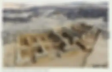 Berperan Penting pada Masa-masa Awal Islam, Inilah Kota Asham yang Dijuluki 'Kota Emas' Kuno di Selatan Mekkah, Beginilah Kondisinya Sekarang