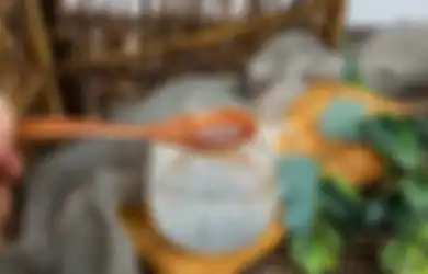 Menjaga Kesehatan Tulang dan 3 Manfaat Lain Biji Selasih, Kecil-kecil Banyak Manfaatnya!