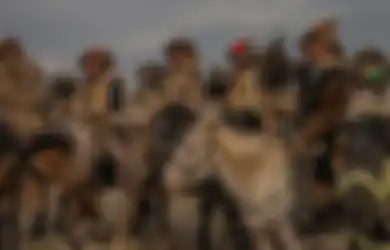 Ternyata Ada Alasan Tak Terduga Ini Mengapa Bangsa Mongol yang Dikenal Buas dan Tanpa Ampun Gagal Menginvasi Eropa Padahal Wilayah Kekuasaannya Begitu Luas