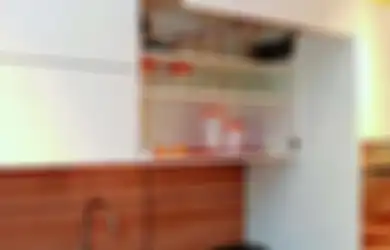 Bikin Laci dan Lemari Dapur Wajib Tahu Ini, Teknologi Terkini Engsel