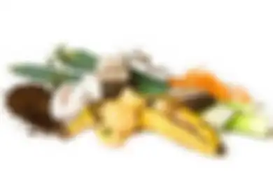 Cara Manfaatkan Sampah Organik Jadi Eco Enzyme Si Pembersih Serbaguna