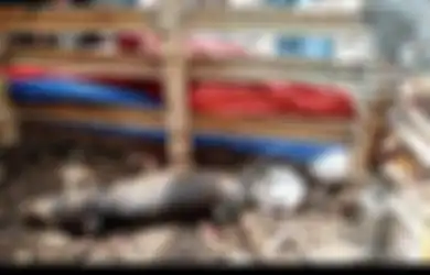 Disembelih, Babi Ngepet Berulah Lagi hingga Bikin Syok Warga, Kini Terbongkar Fakta Sebenarnya!