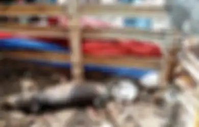 Rela Bugil Demi Tangkap Babi Ngepet, Warga Curiga Lihat Kalung di Leher hingga Terkejut Lihat Perubahan sang Hewan sebelum Disembelih