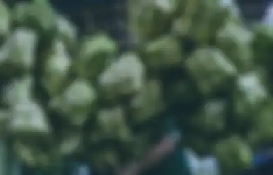 Nge-stock Ketupat Pas Lebaran? Coba 3 Trik Ini Biar Nggak Cepet Basi