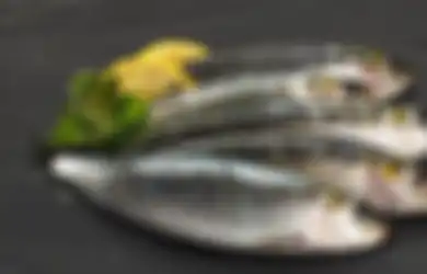 Enggak Semua, Ini 6 Jenis Ikan Paling Sehat dan Bermanfaat Buat Tubuh